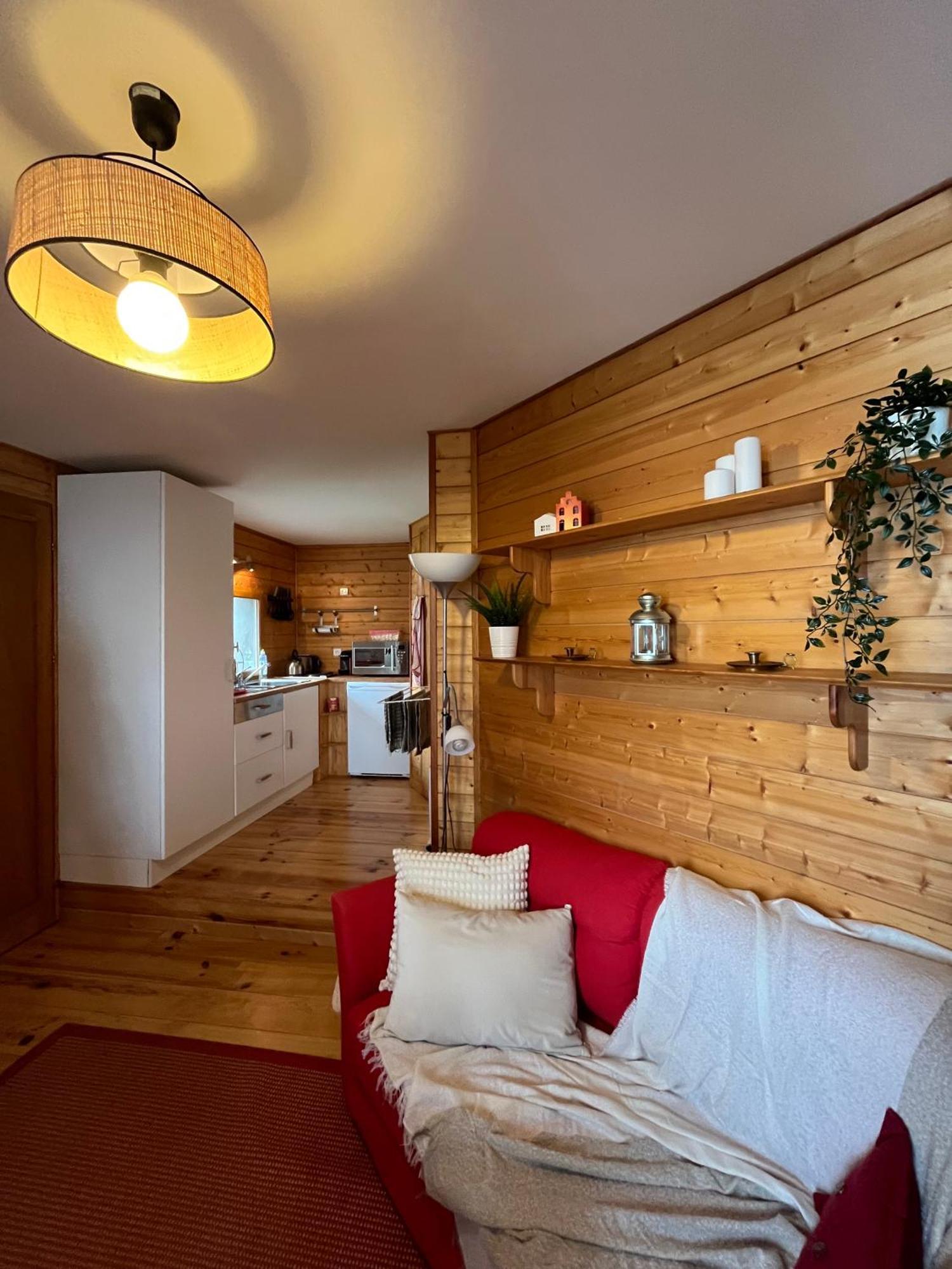 Chalet Des Myrtilles - Chalet Cosy Avec Vue Arette Extérieur photo